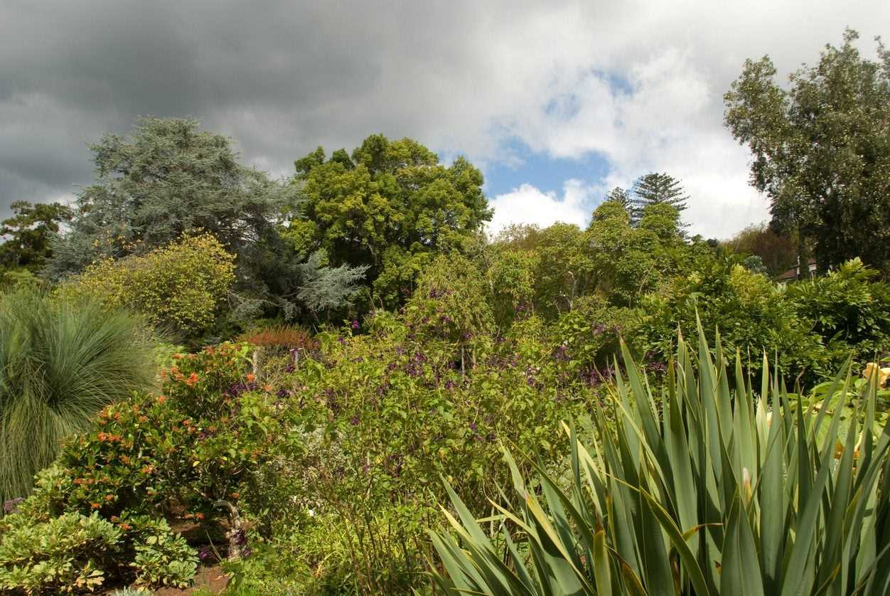 Create a Shelter for Delicate Plants