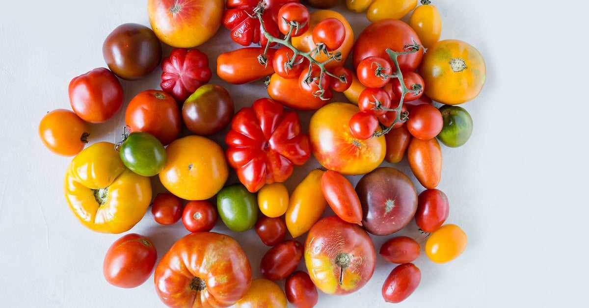 Heirloom Tomatoes: Timeless Beauty and Taste