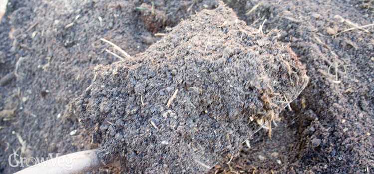 5. Keep the Compost Moist