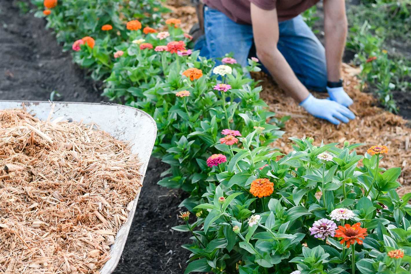 Choosing the Right Type of Mulch