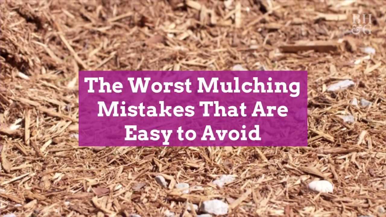 Mistake #4: Neglecting Mulch Maintenance