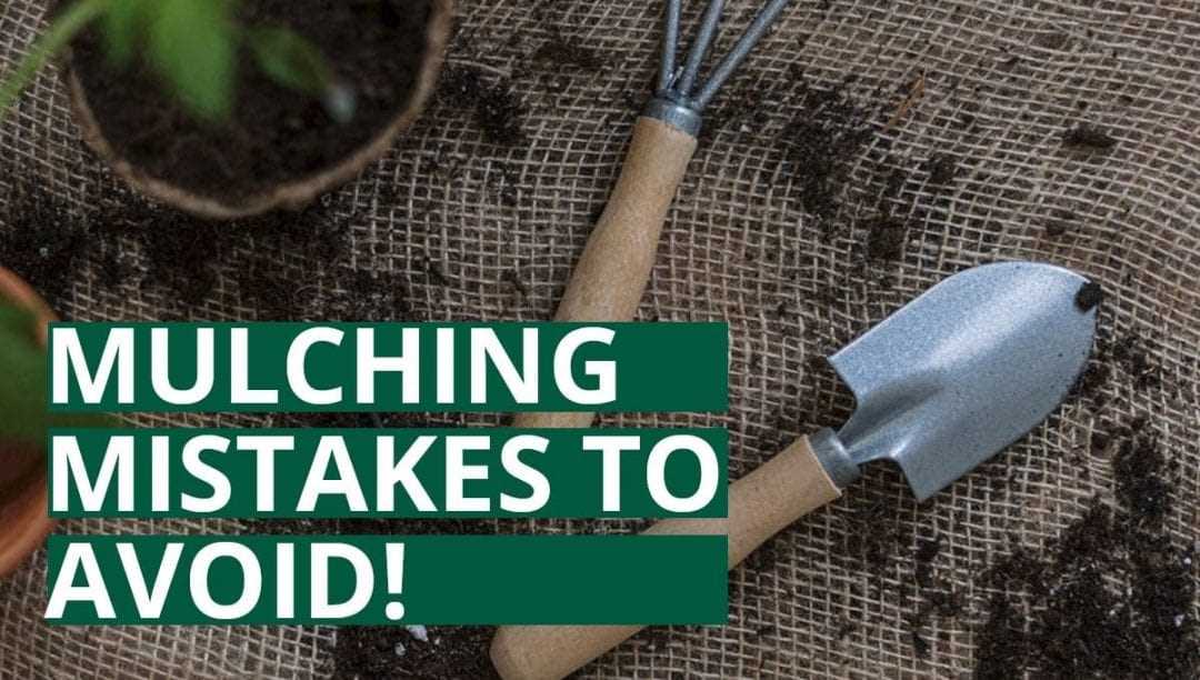 5. Regularly Inspect and Maintain Mulch