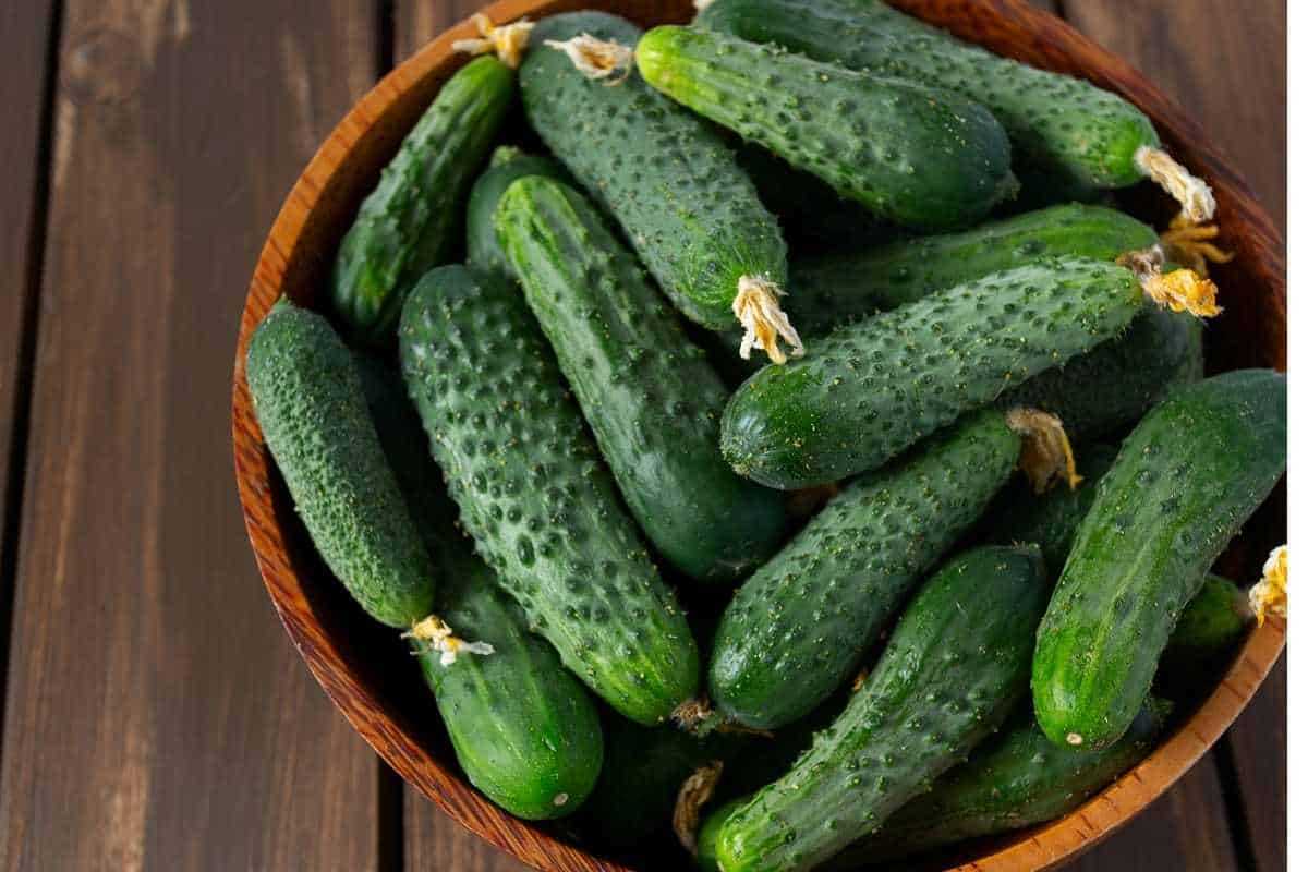 3. Homemade Pickles Cucumber