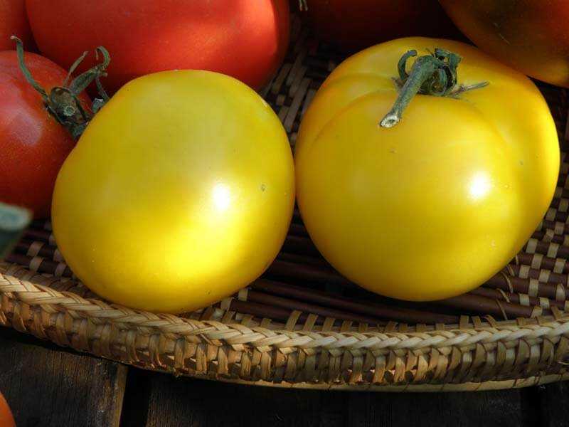 8. Stuffed Tomatoes