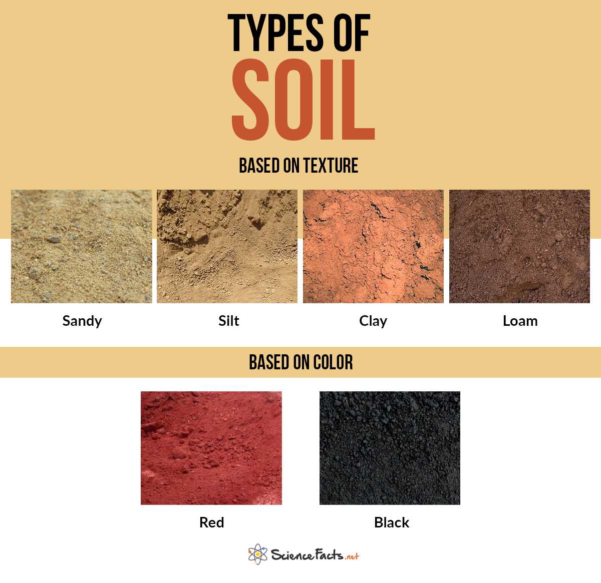 Silt Soil: A Fine-Textured Soil Type