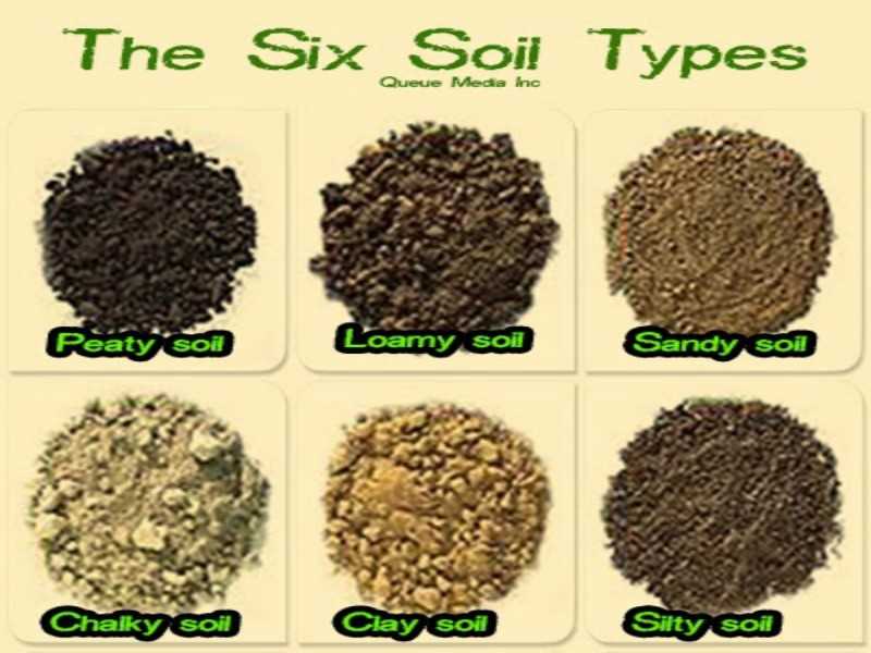 Management of Silt Soil