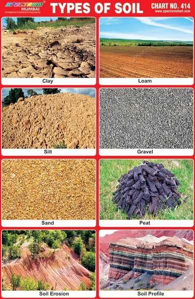 5. Peaty Soil