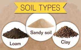 Understanding Soil Composition