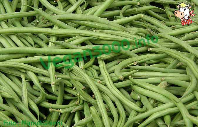 The Origins and History of Vigna Beans