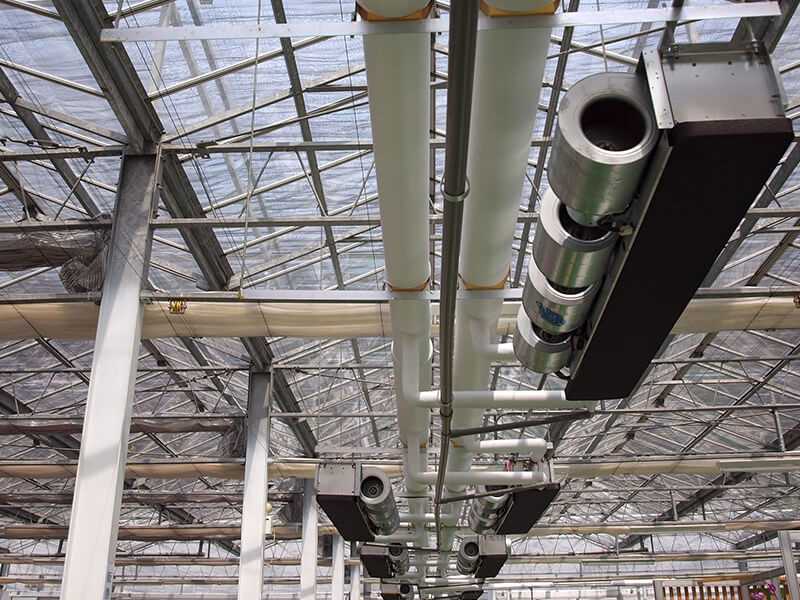 Importance of Water Heating in the Greenhouse