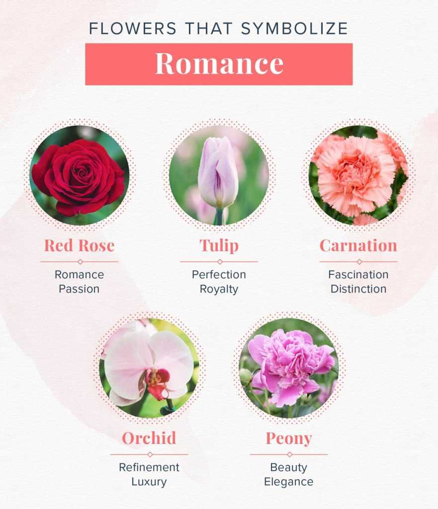 The Importance of Flower Symbolism