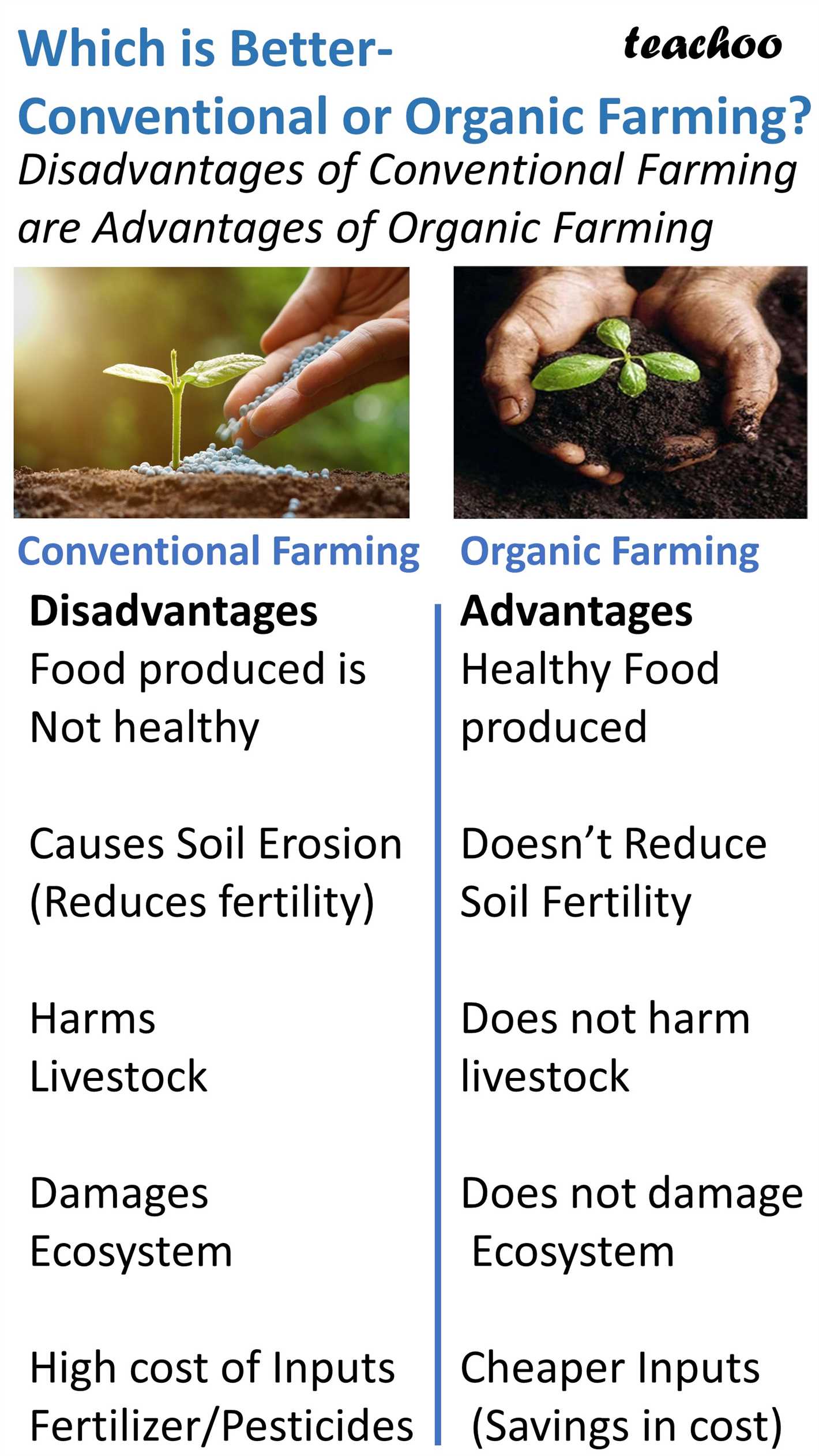 No Genetically Modified Organisms (GMOs)