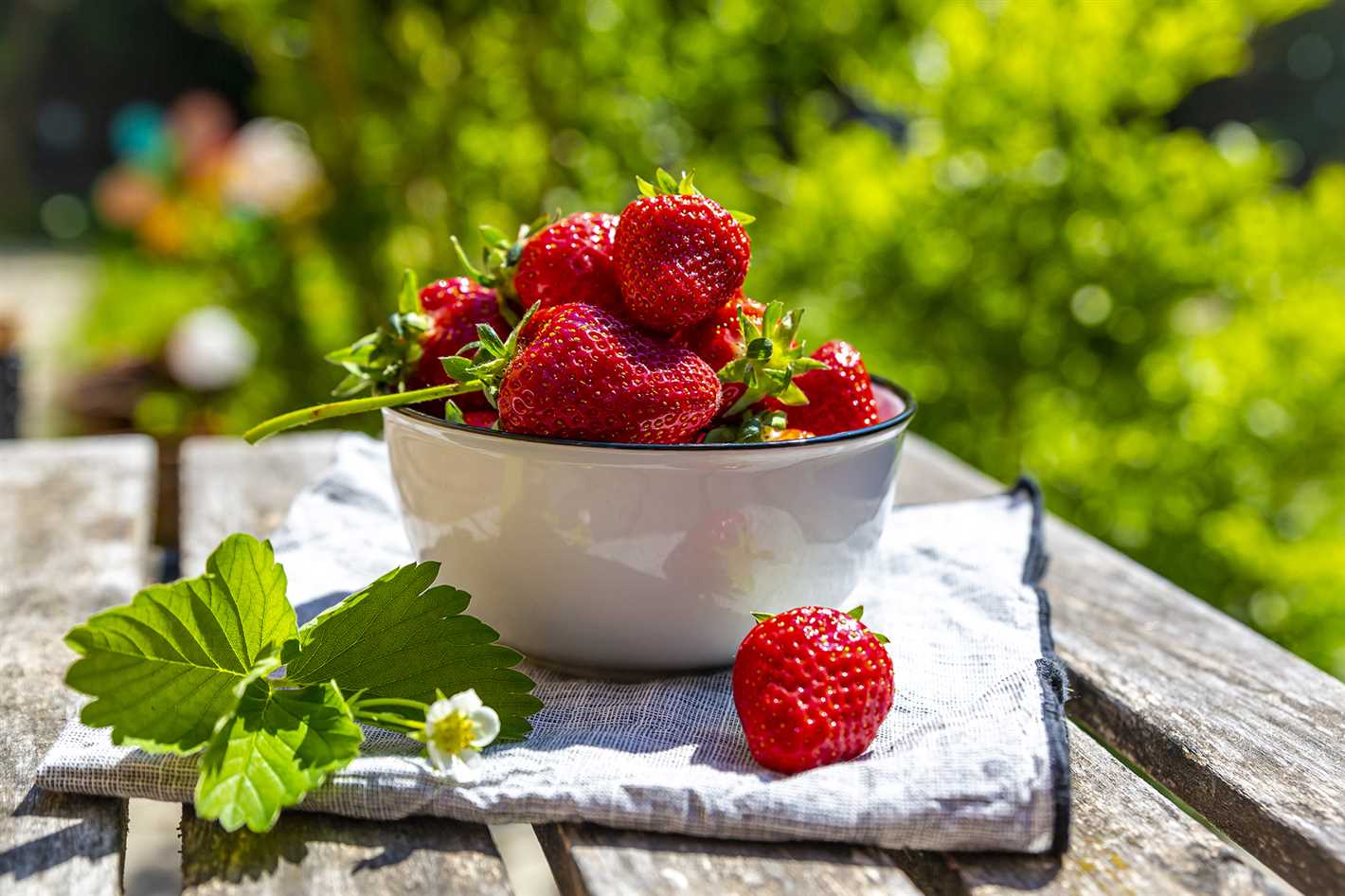 Proper Watering Techniques for Optimal Fruit Development