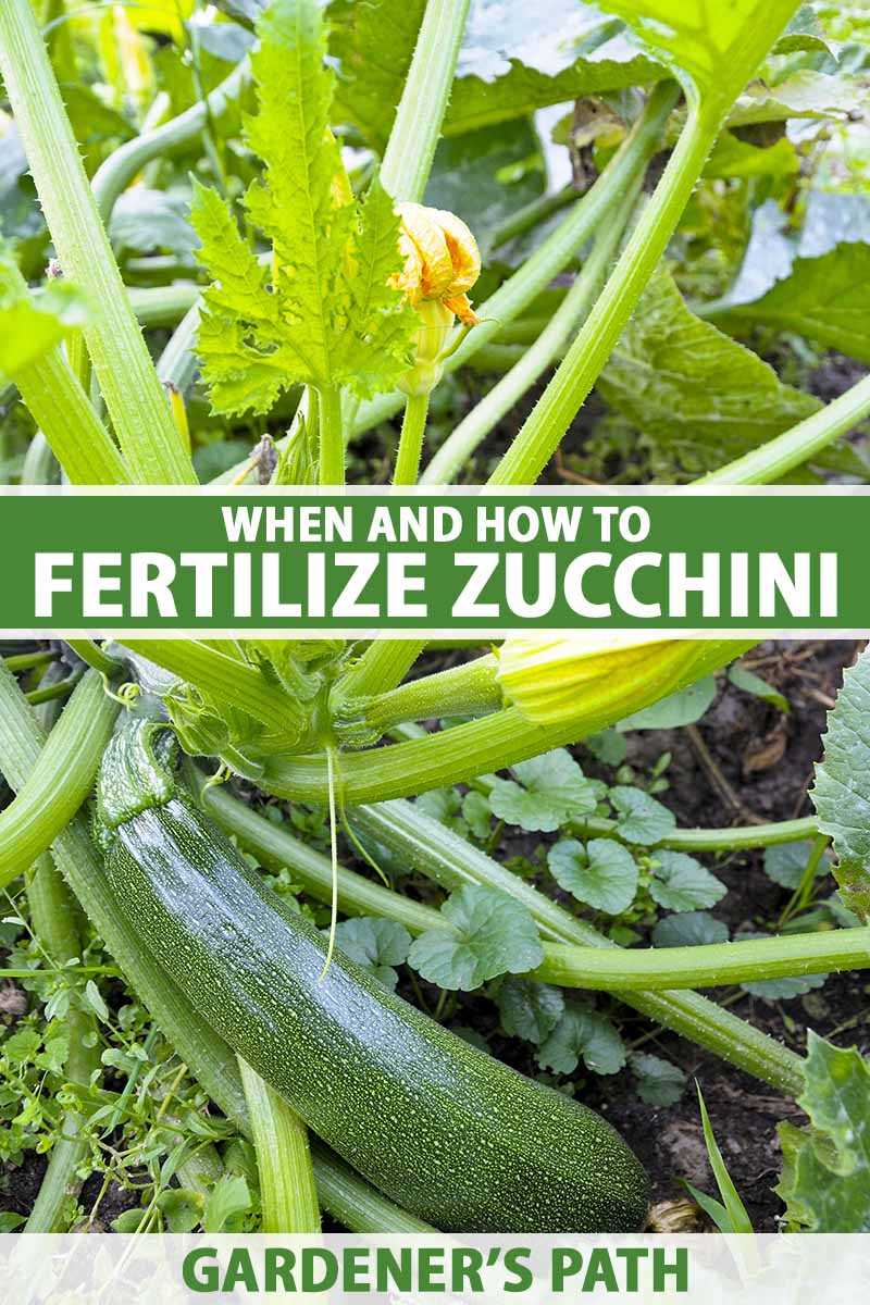 Methods of Fertilising