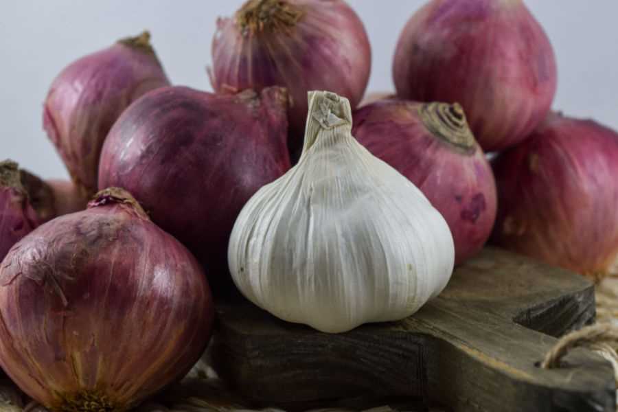 Types of Garlic to Plant