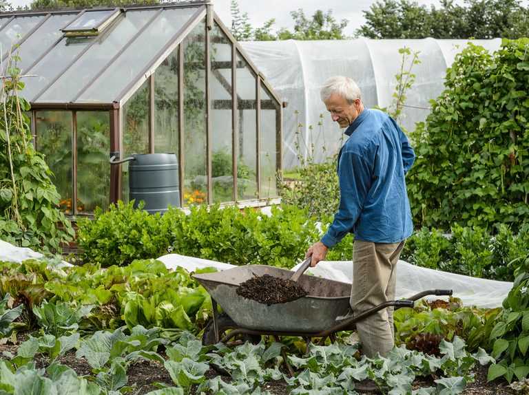 Boosts Garden Productivity