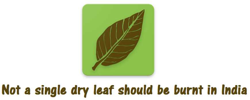 Why It’s Not a Good Idea to Burn Leaves and How to Put Them to Good Use