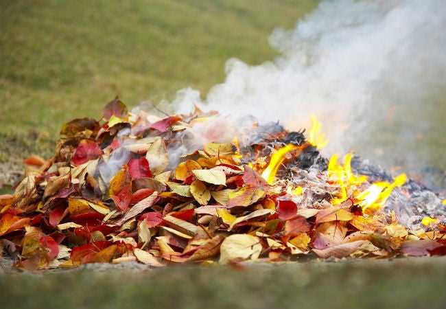 6. Use the Finished Compost