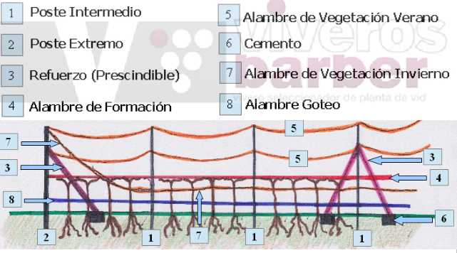 Control integrado de plagas