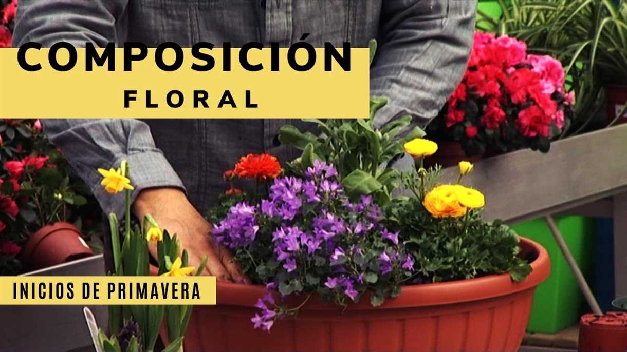 1. Conoce las necesidades de agua de tus plantas