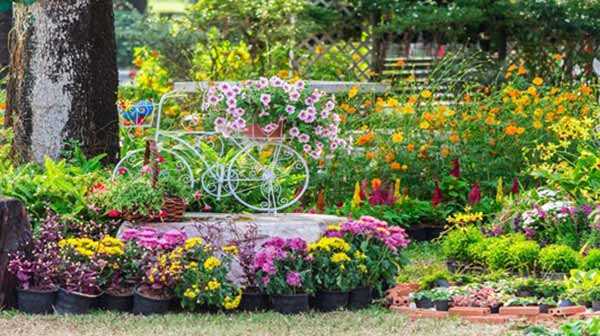 5. Preparar las herramientas de jardín