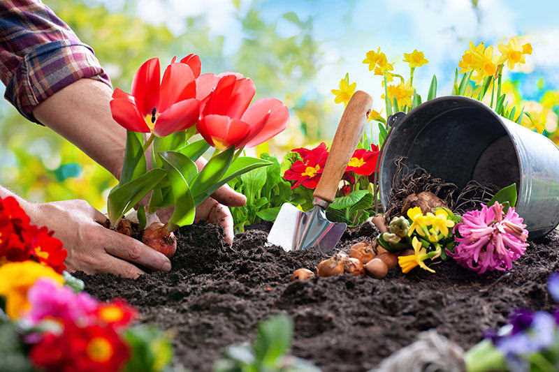 Jardinería al inicio de la primavera: consejos y técnicas