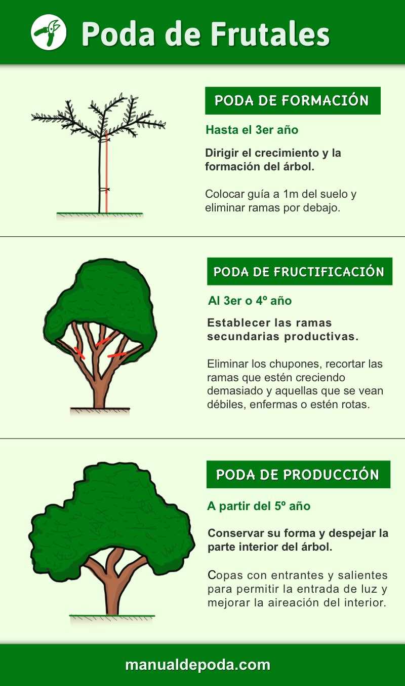 Consideraciones para el perfilado de albaricoques