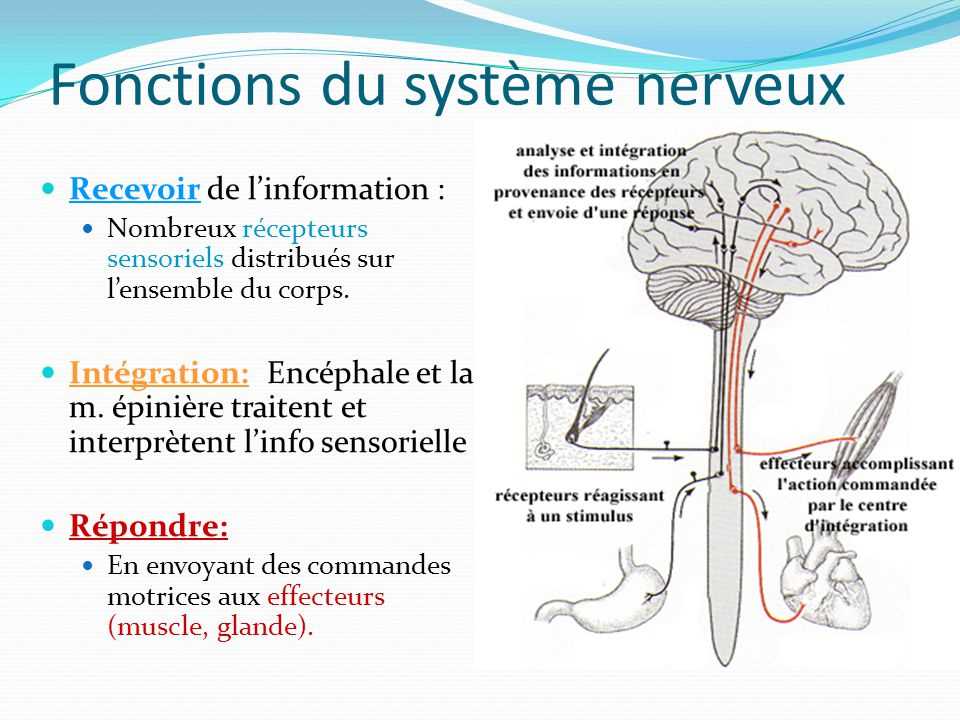 1. Choisir un emplacement approprié