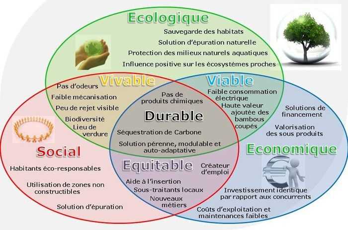 4. Fertilisation