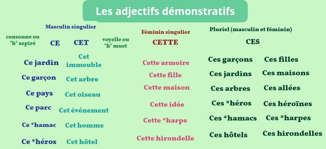 5. Observations de la plante