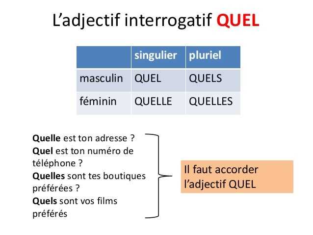 2. Luminosité adaptée