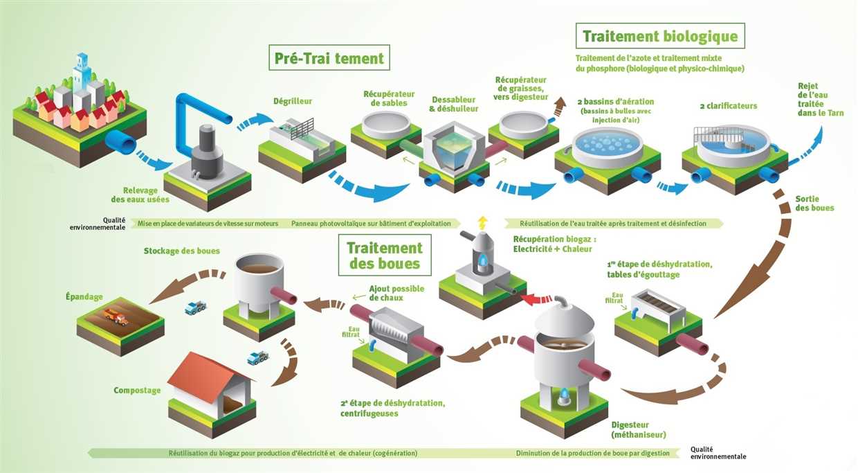 1. Renforcement du système immunitaire