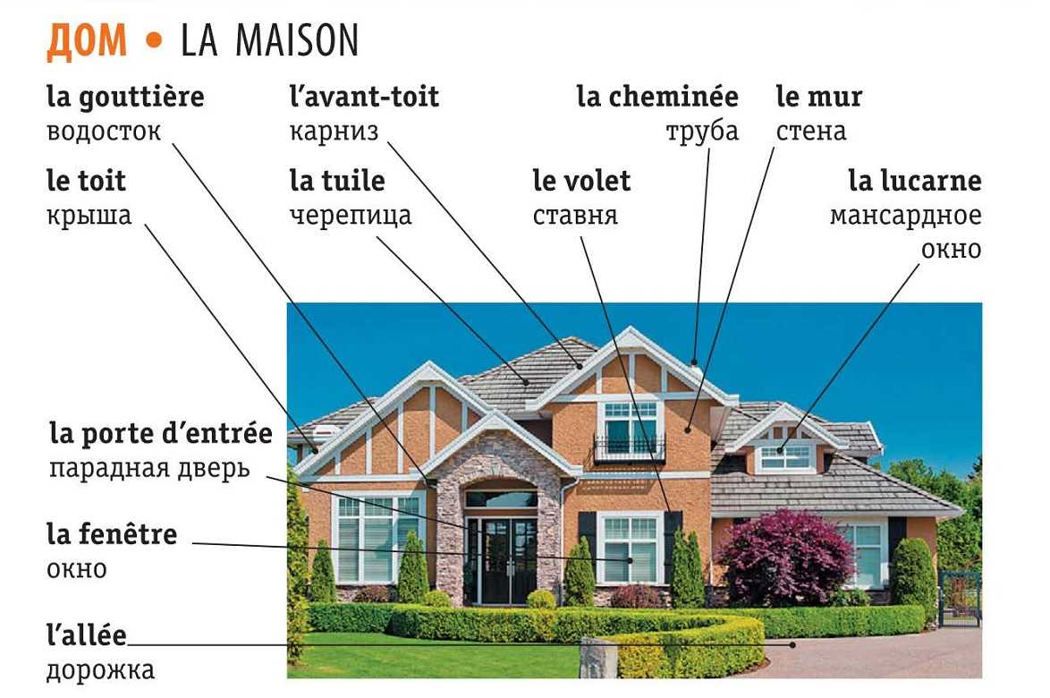 Entretenir les hyacinthes en croissance