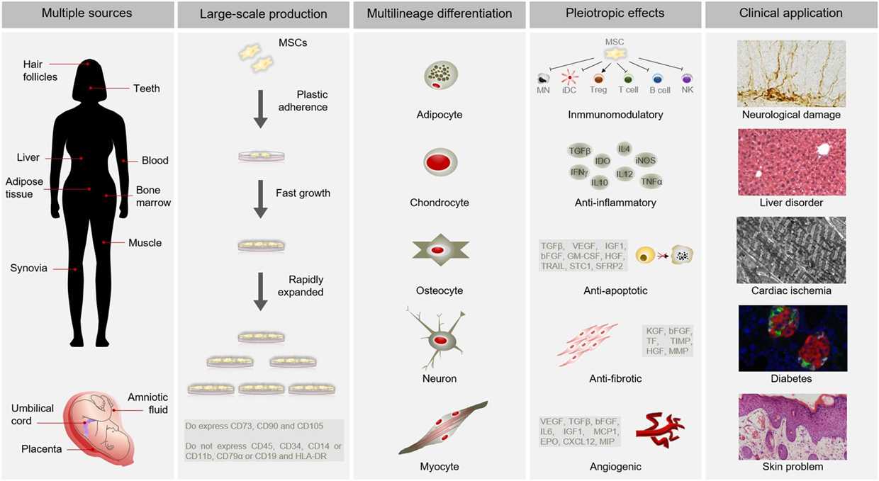 Les maladies et les parasites