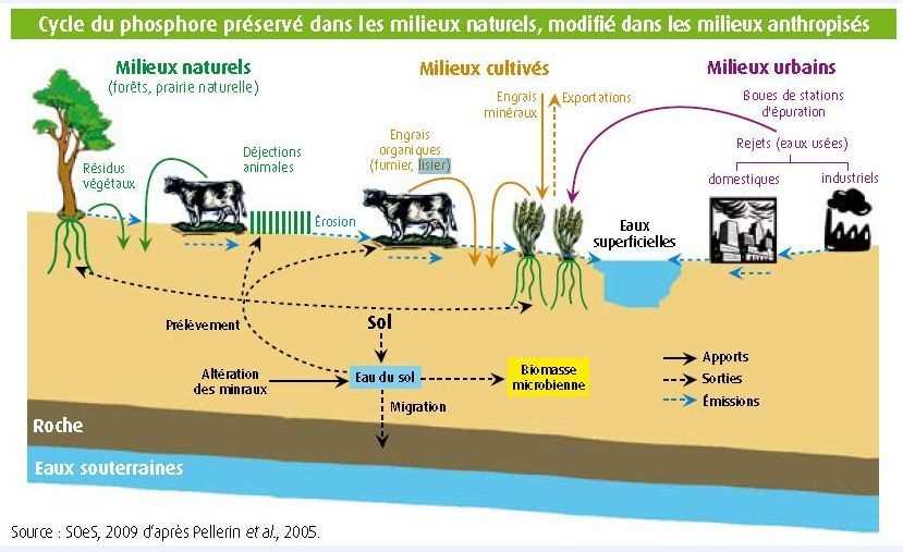 Utilisation des engrais minéraux