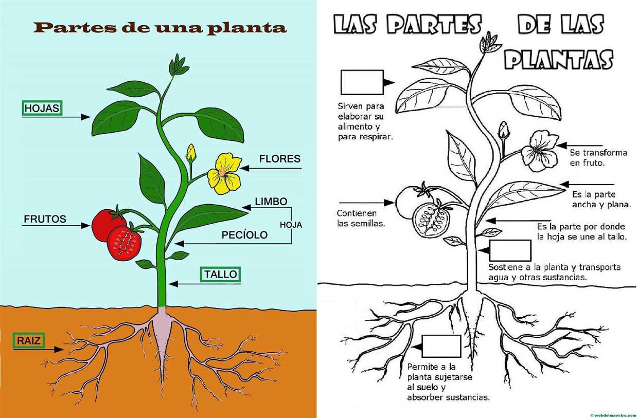 Réutilisation du terreau