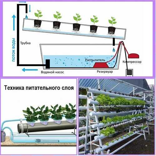 Comparaison de la méthode hydroponique avec d'autres méthodes de culture