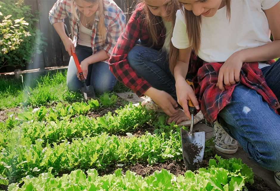 Soins nécessaires pour les semis d'avril