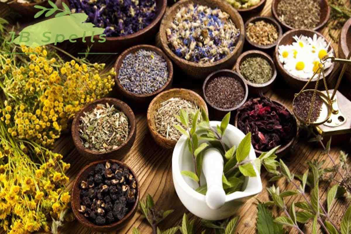 Les infusions et décoctions à base de plantes médicinales