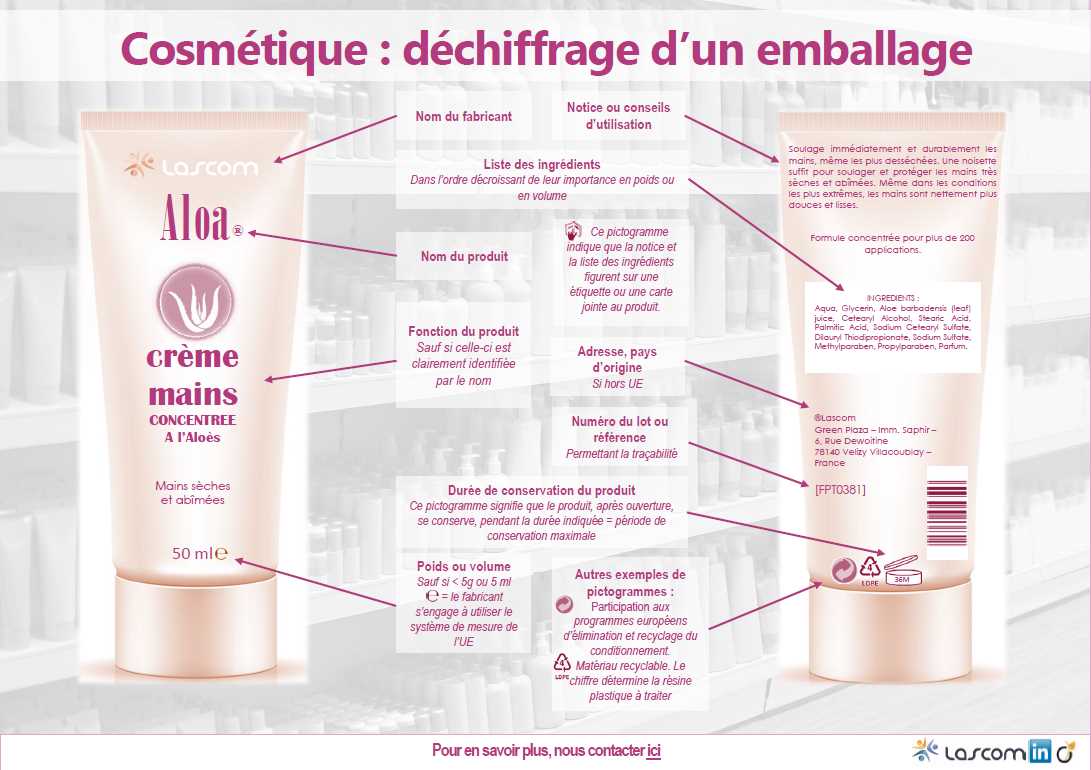 Les espèces apparentées aux poliscias dans la famille des Araliaceae