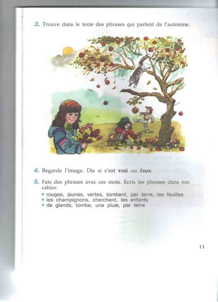 5. La chute des feuilles