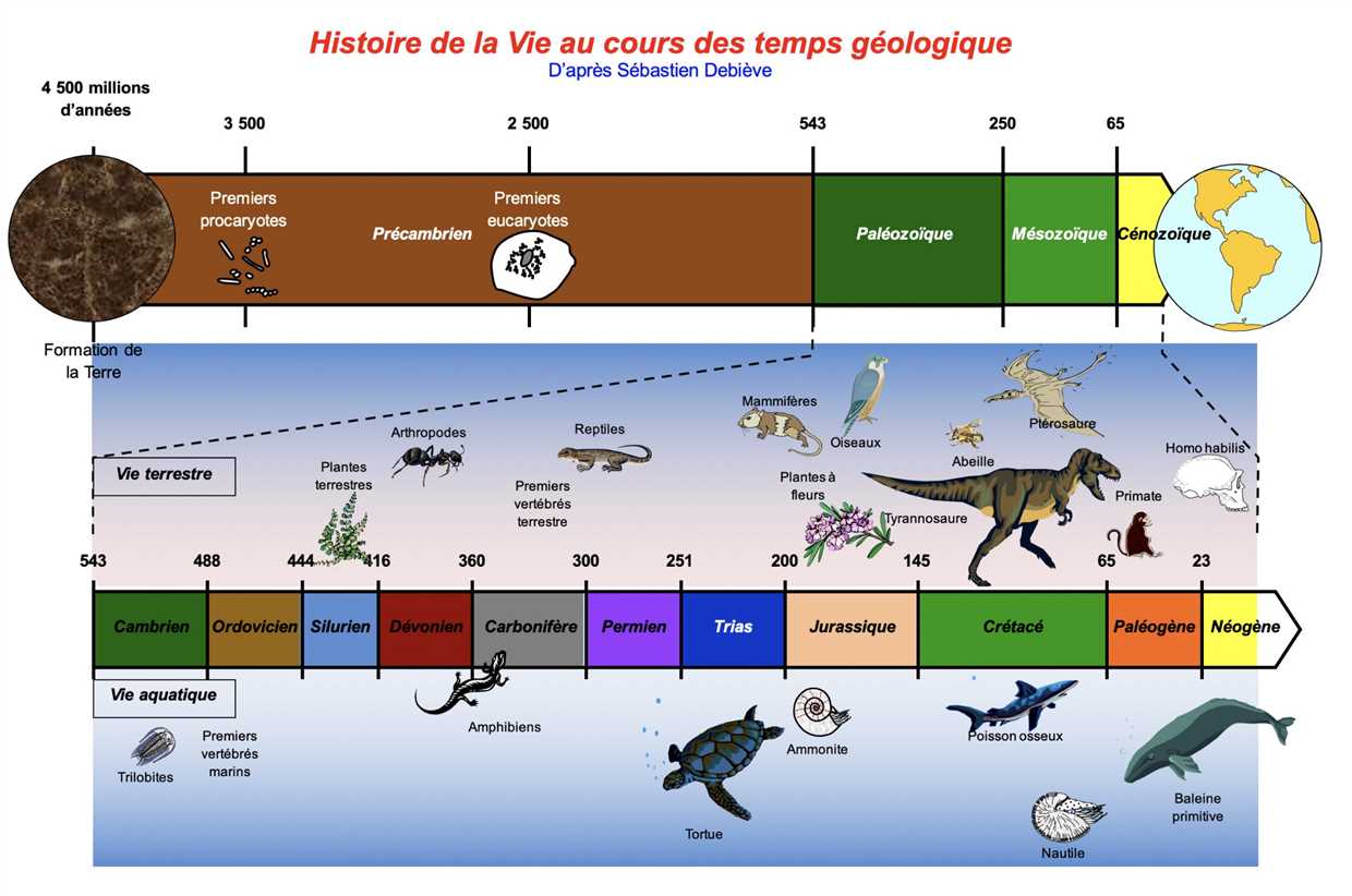 4. Pratiquer la méditation