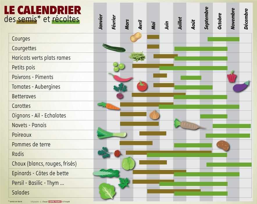 Comment déterminer le moment idéal pour semer les tomates