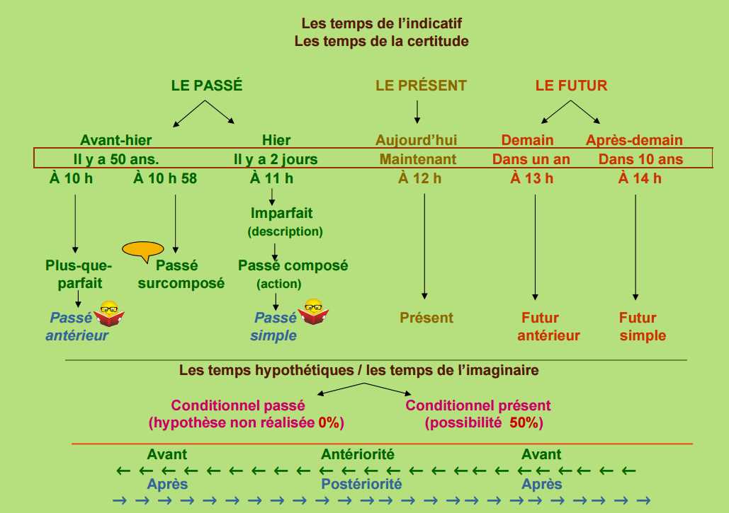 3. Le laurier-tin