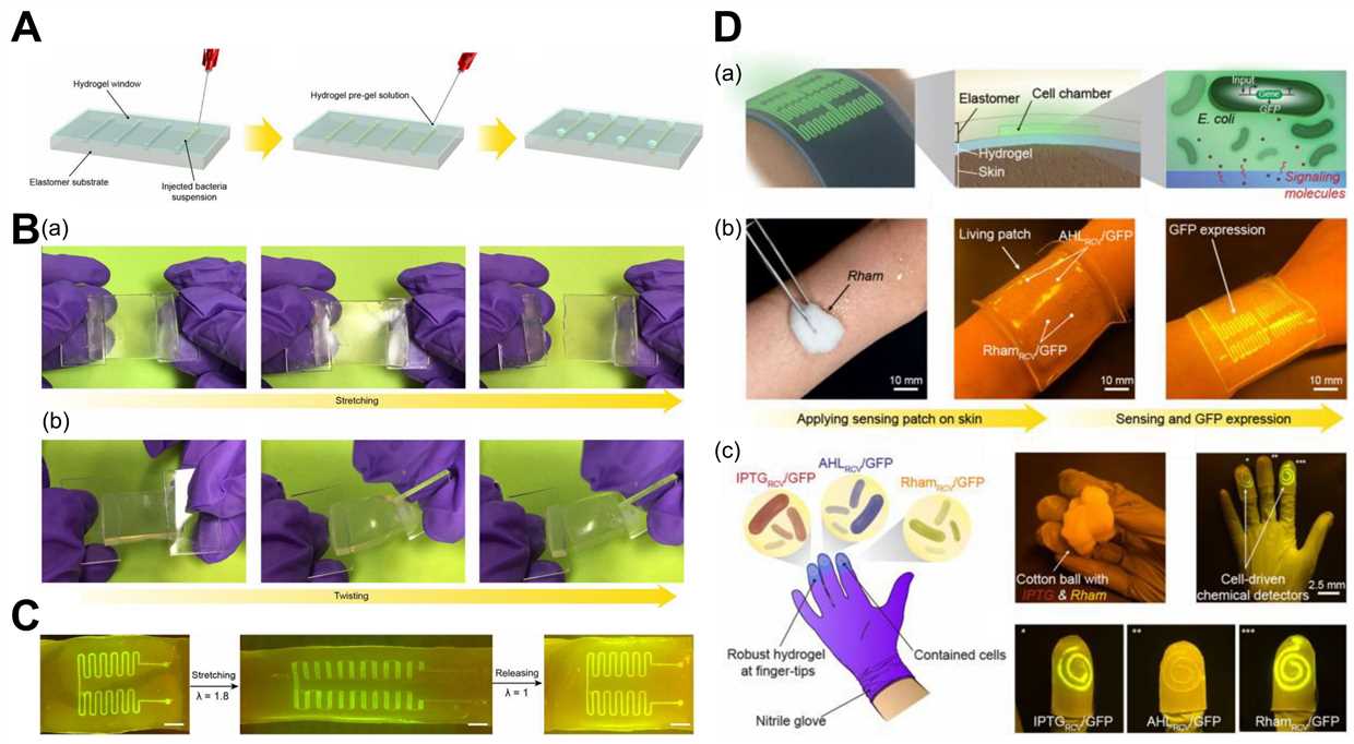 Avantages de l'hydrogel