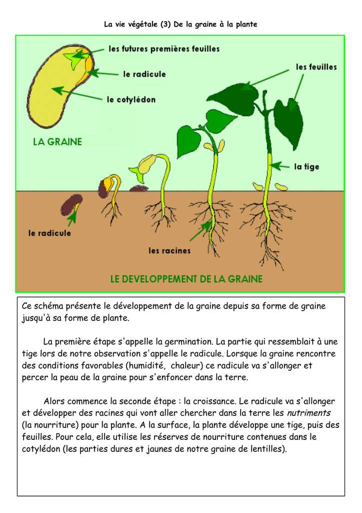 Intensité de la lumière