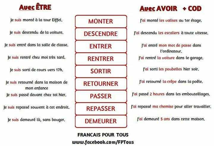 5. Renforcer la structure de la plante