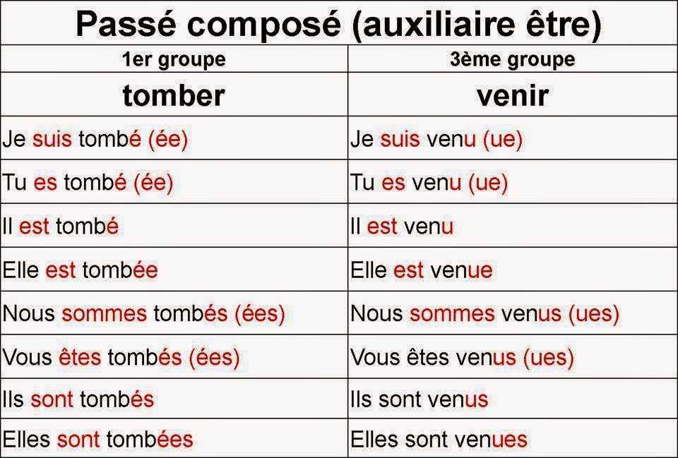 1. La taille de formation