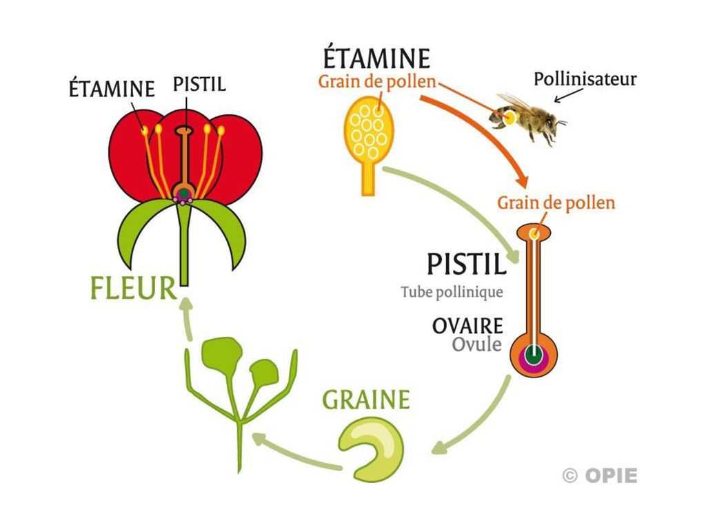 2. Utilisez les bons outils