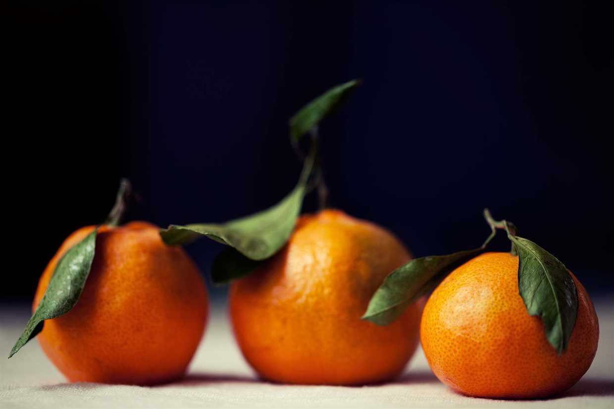 L'arrosage et la fertilisation des tangerines en croissance